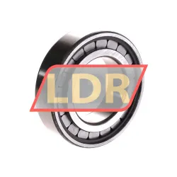 INA SL182210-A-XL-C3 rulman resim 2