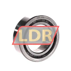 INA SL183009-A-XL