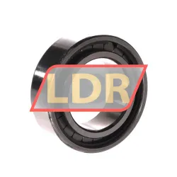 INA SL183009-A-XL rulman resim 2