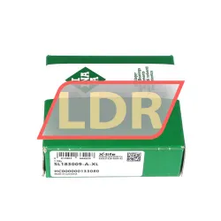 INA SL183009-A-XL rulman resim 3