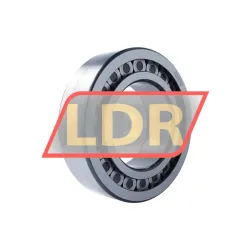 INA SL182228-TB-C3