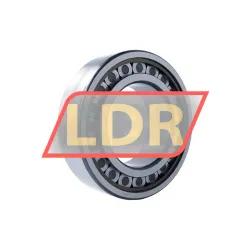 INA SL182228-TB-C3 rulman resim 2
