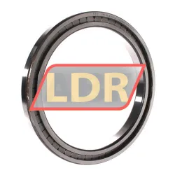 INA SL181838-A