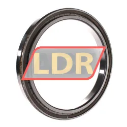 INA SL181838-A rulman resim 2