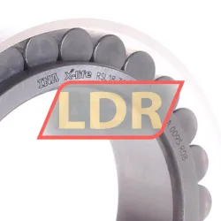 INA RSL183013-A-XL rulman resim 2