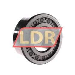 INA SL192316