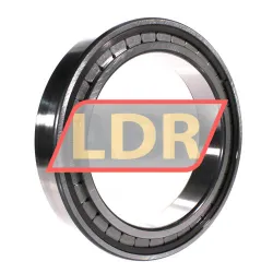 INA SL182940-B-XL rulman resim 2