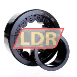 INA SL192320-TB-XL-BR rulman resim 3