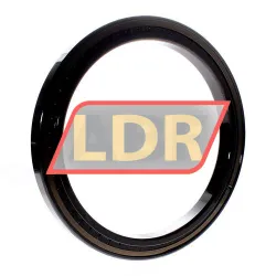 INA SL181848-E-BR rulman resim 2