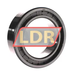 INA SL183022-A-C3