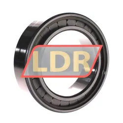 INA SL183022-A-C3 rulman resim 2