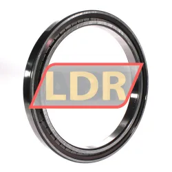 INA SL181840-A-C3 rulman resim 2