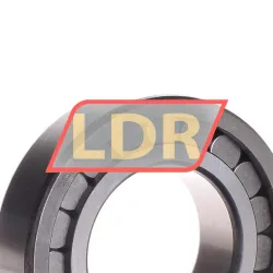 INA SL182212-A-XL-C3 rulman resim 2