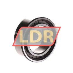 INA SL183009-A-XL-C3 rulman resim 2