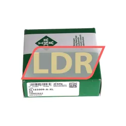 INA SL183009-A-XL-C3 rulman resim 3