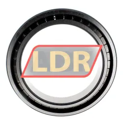 INA SL182919-B-XL-C3 rulman resim 2