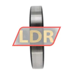 INA SL182919-B-XL-C3 rulman resim 4
