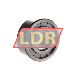 INA SL192308-C3 rulman resim 2
