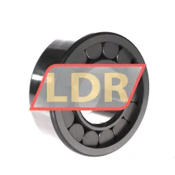 INA SL192313 rulman resim 2
