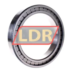 INA SL182932-B-XL rulman resim 2