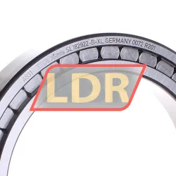 INA SL182922-B-XL rulman resim 2