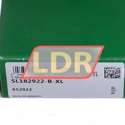 INA SL182922-B-XL rulman resim 5