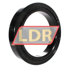 INA SL182936-B-XL-C3 rulman resim 2
