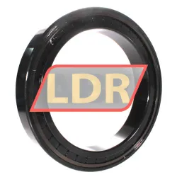 INA SL182944-B-XL-BR rulman resim 2