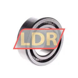 INA SL183007-A-XL-C3 rulman resim 2