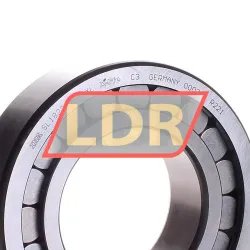 INA SL182213-A-XL-C3 rulman resim 2