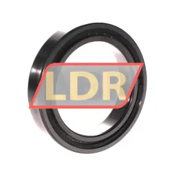 INA SL182917-B-XL rulman resim 2