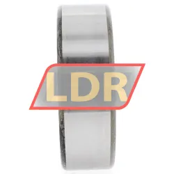 INA SL183008-A-XL rulman resim 4