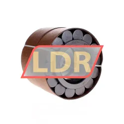 INA RSL182313-A-2S