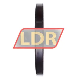 INA SL181838-A-C3 rulman resim 3