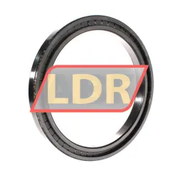 INA SL181836-A-C3