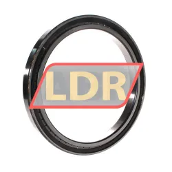 INA SL181836-A-C3 rulman resim 2