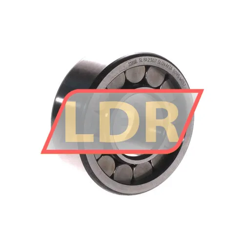 INA SL192307
