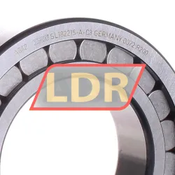 INA SL182215-A rulman resim 2