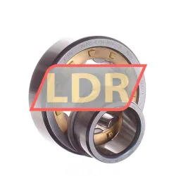 FAG NJ305-E-XL-M1A-C3 rulman resim 2