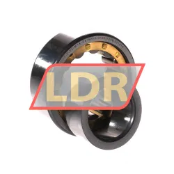 FAG NJ2205-E-XL-M1A-C4 rulman resim 3