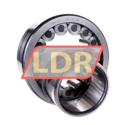 INA SL192319-TB-XL rulman resim 2