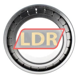 INA SL183016-A-C3 rulman resim 2