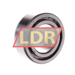 INA SL183006-A-XL-C3 rulman resim 2