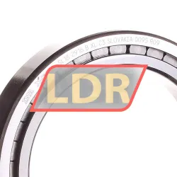 INA SL182916-B-XL-C3 rulman resim 2