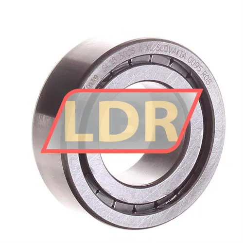 INA SL183005-A-XL