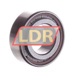 INA SL183005-A-XL rulman resim 2