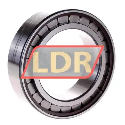 INA SL183016-A rulman resim 2