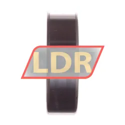 INA SL183010-A-XL rulman resim 3