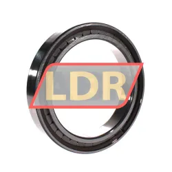 INA SL182928-B-XL rulman resim 2