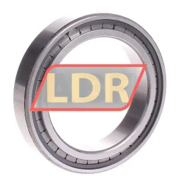 INA SL182914-B-XL rulman resim 3